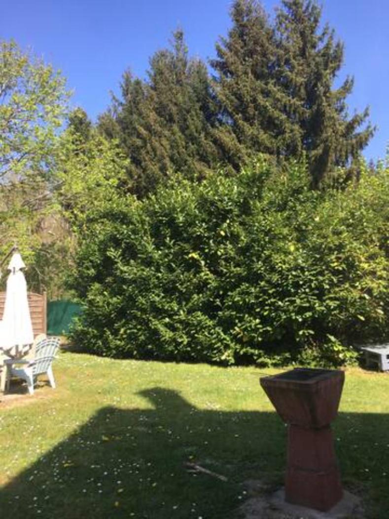 Gite Cosy Proche Fontainebleau Et Foret Noisy-sur-Ecole Exteriér fotografie